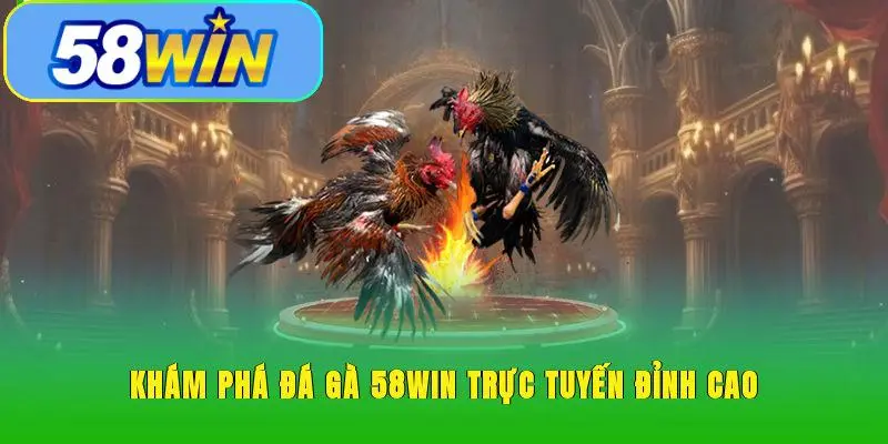 Khám phá đá gà 58WIN trực tuyến đỉnh cao