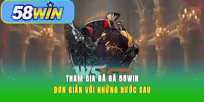 Tham gia đá gà 58WIN đơn giản với những bước sau