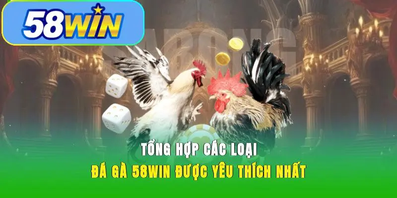 Tổng hợp các loại đá gà 58WIN được yêu thích nhất